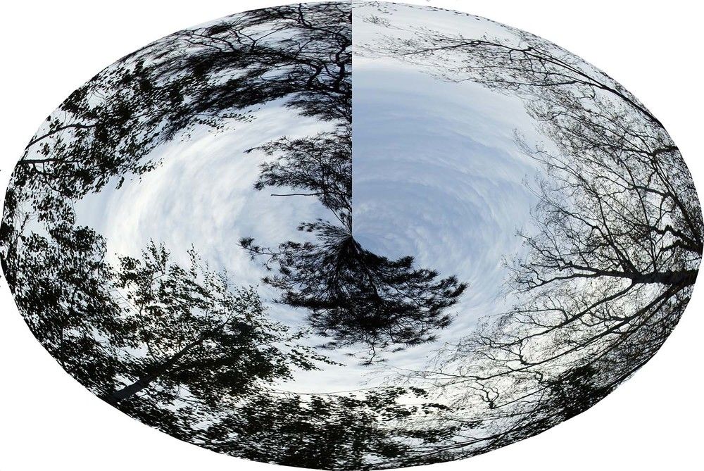 Photograph by Игорь Пшеничников