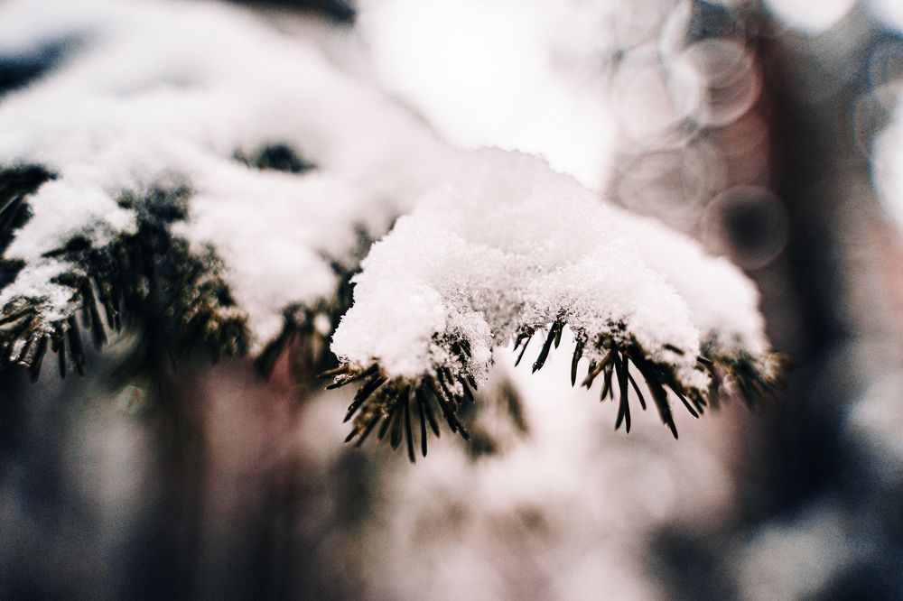 Photograph by Артём Александрович