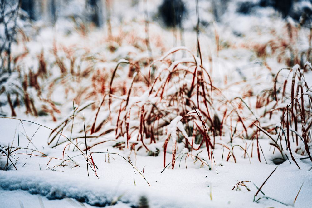 Photograph by Артём Александрович