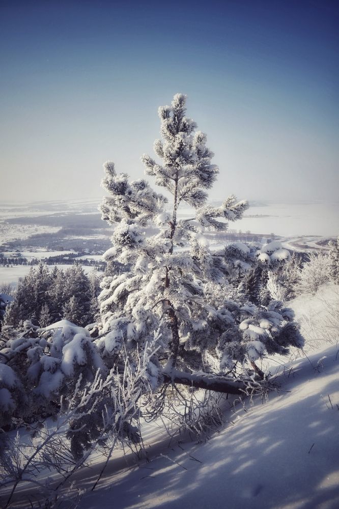 Photograph by Кира Бахвалова