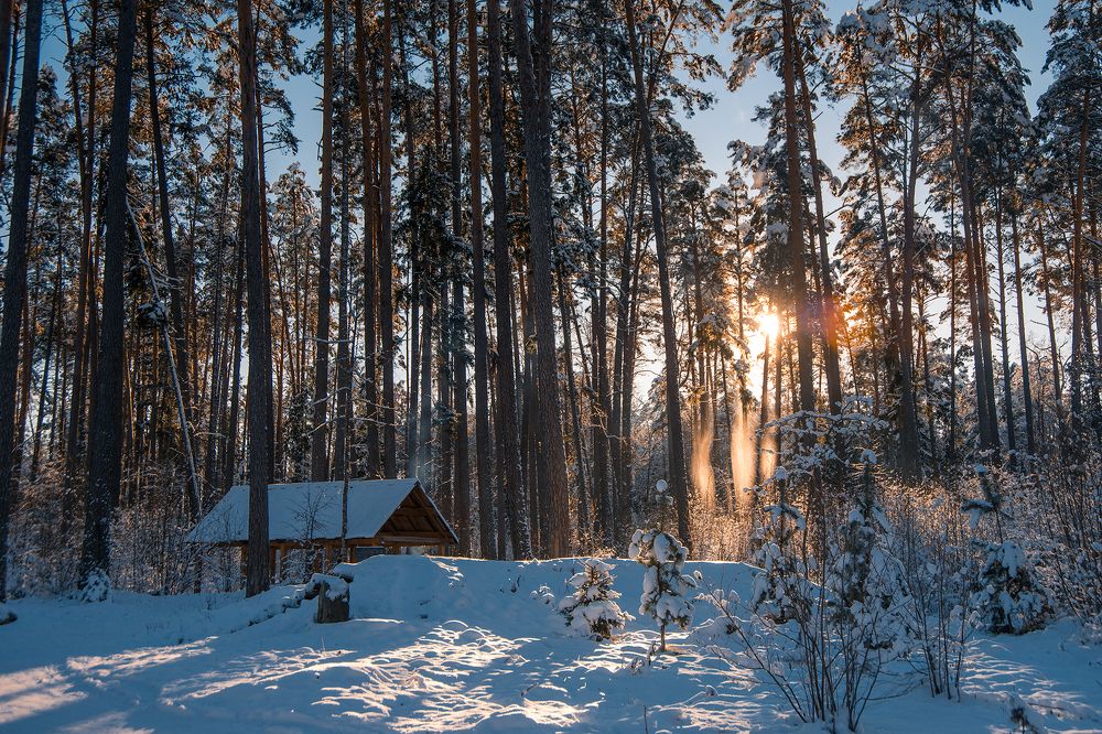 Зарисовки зимнего дня