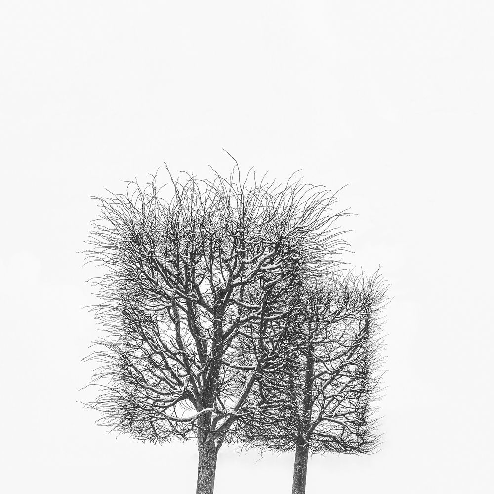 Photograph by Анжелика Титова