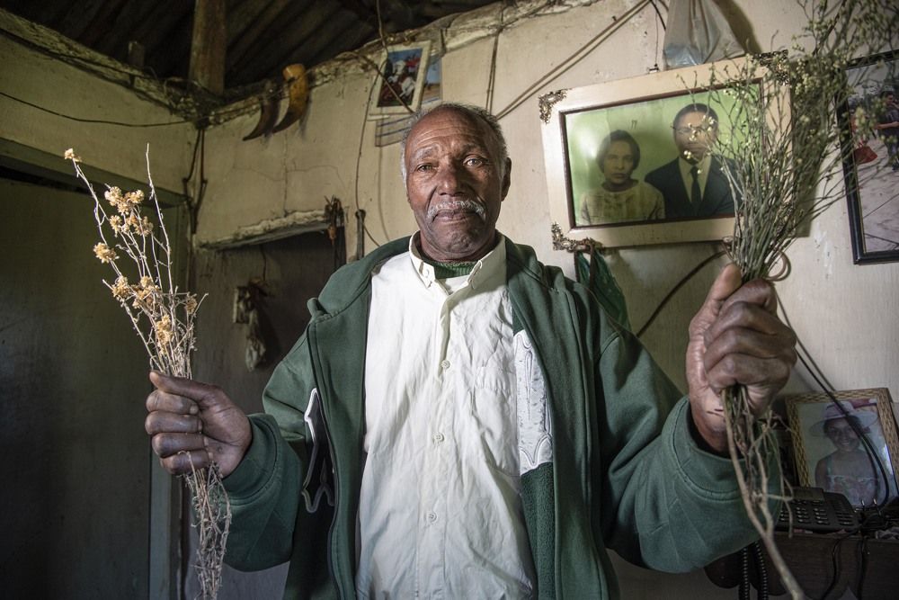 Photograph by Fernando Kluwe Dias