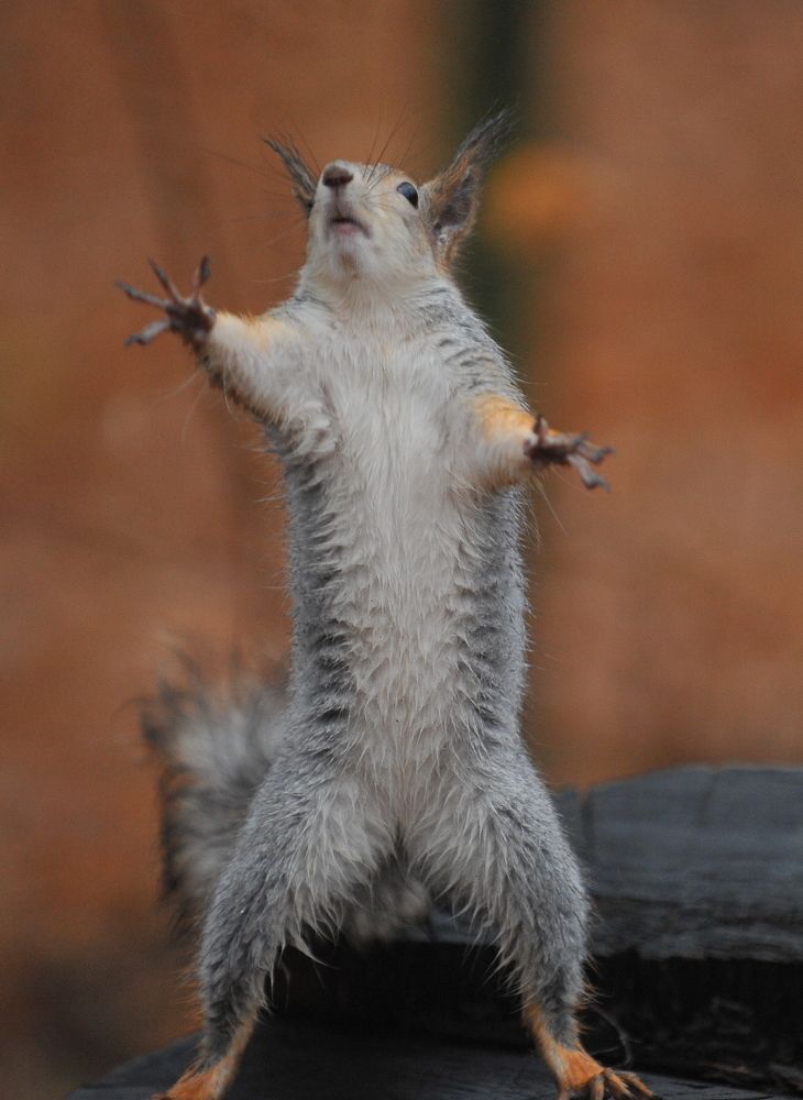 Photograph by Алексей Козлов