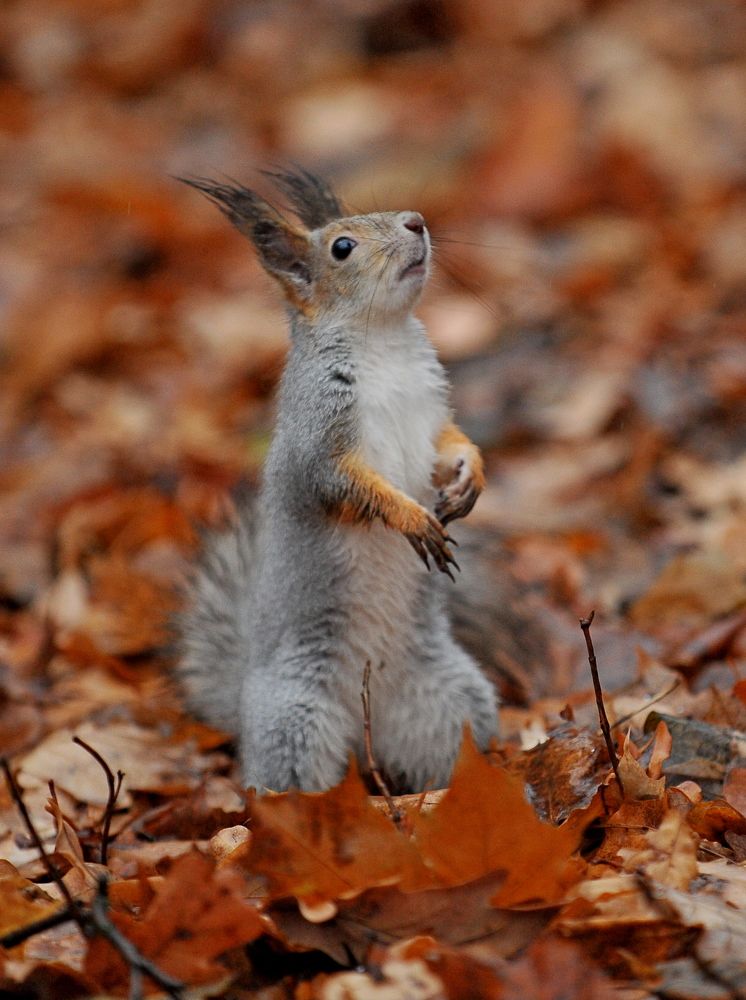 Photograph by Алексей Козлов