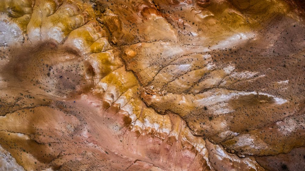 Фотография автора Андрей Пожарский