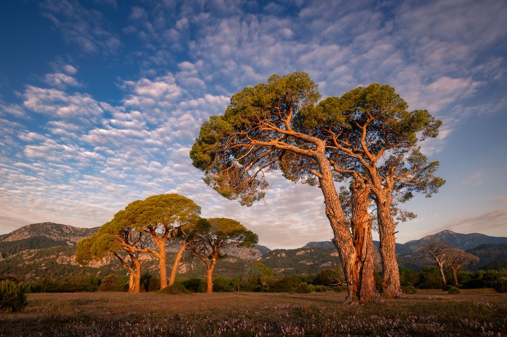 Photograph by Игорь Зуйков