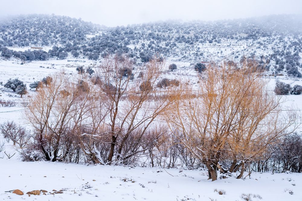 Photograph by Mohamed Haddad