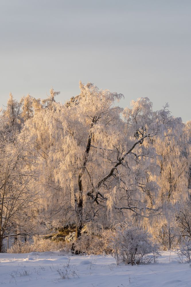 Фотография автора Ruslan Badykov