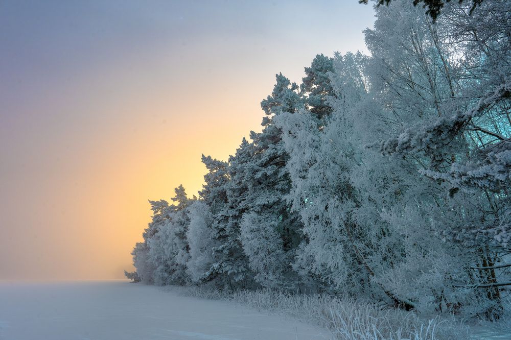Фотография автора Ruslan Badykov