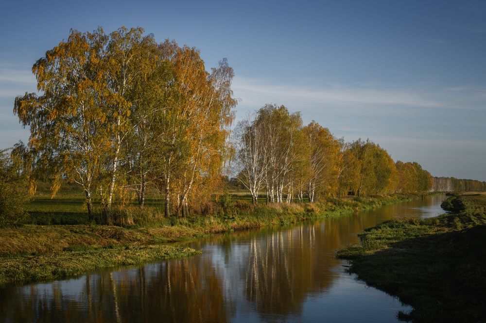 Фотография автора Павел Тимошенко