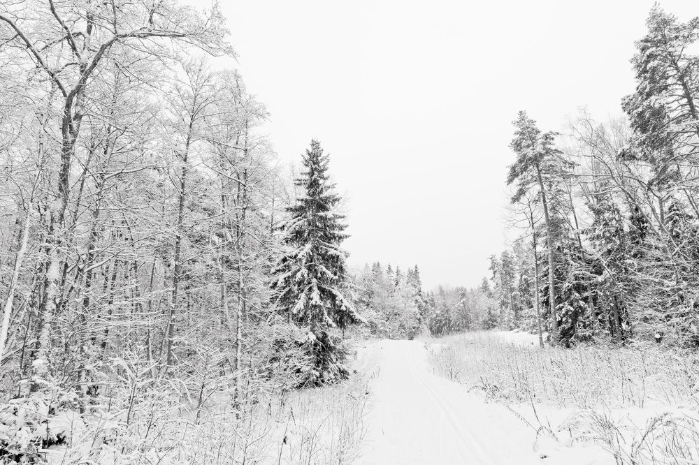 Фотография автора Ruslan Badykov