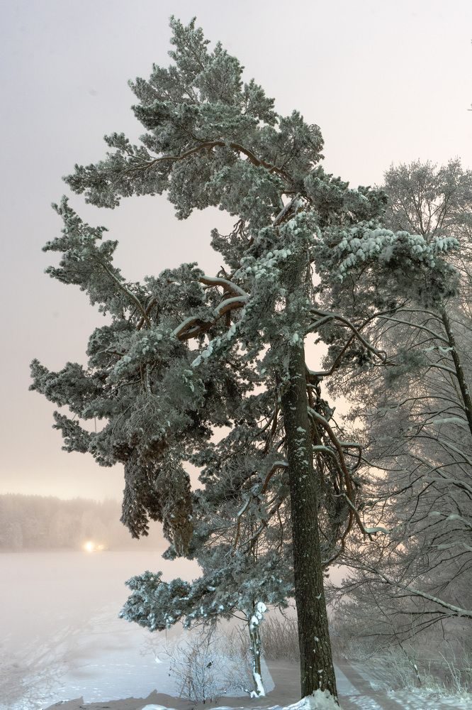 Фотография автора Ruslan Badykov