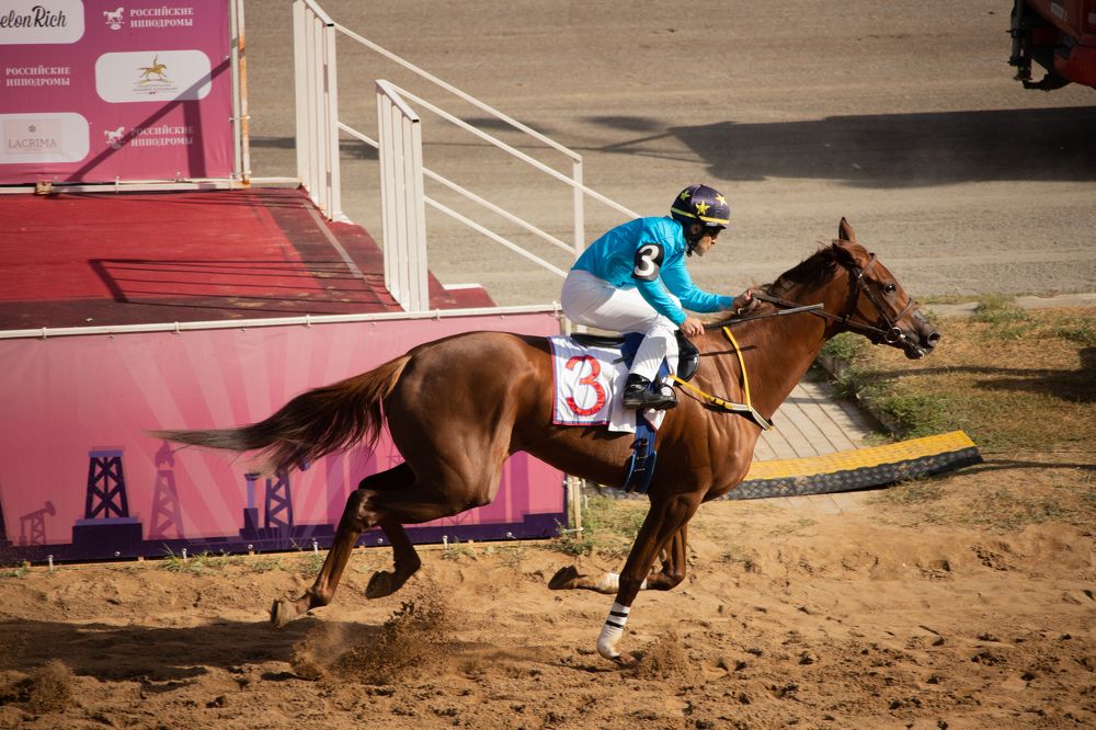 Photograph by Aleksandra