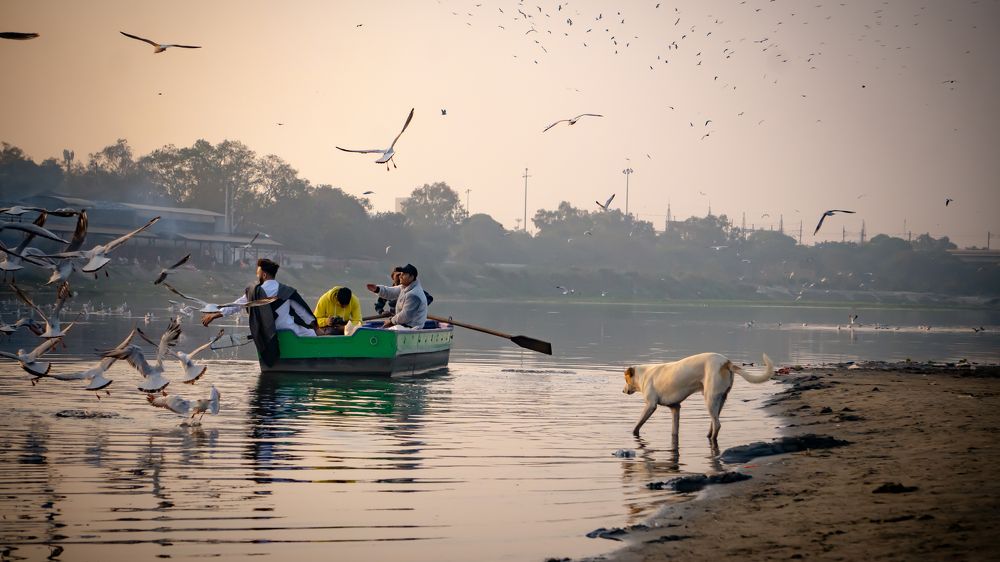 Фотография автора savitri Rawat