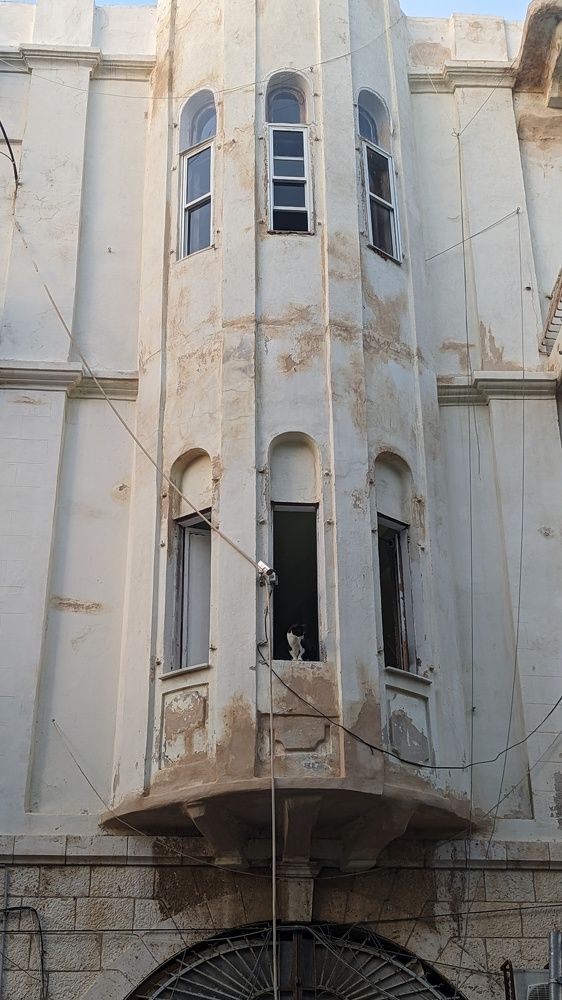 Photograph by Вероника Долгих