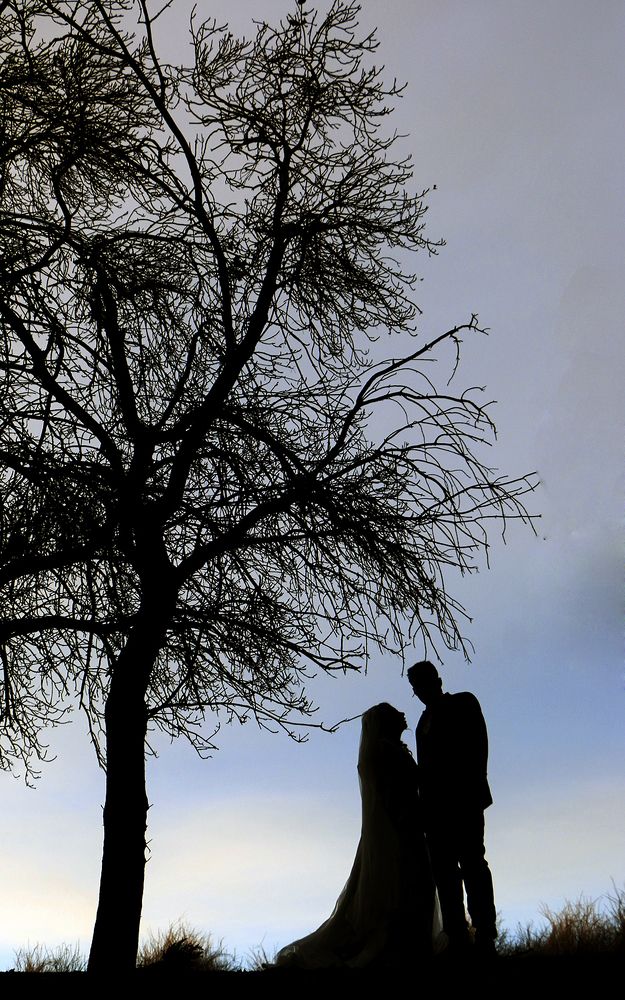 Фотография автора Ghadir Vaghari