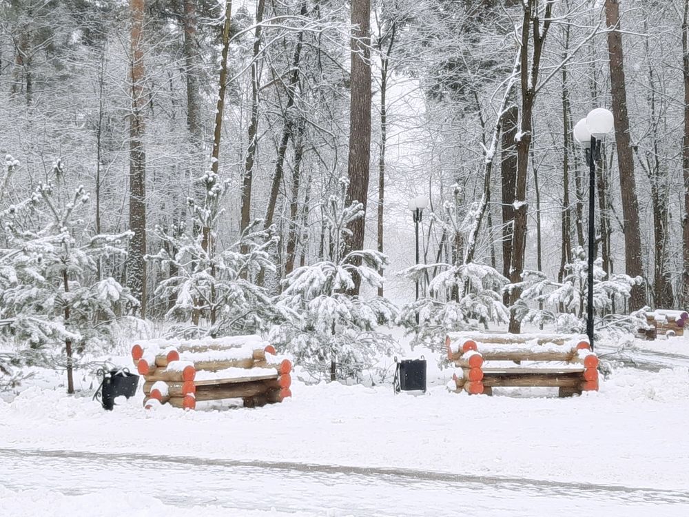 Снежное убранство парка