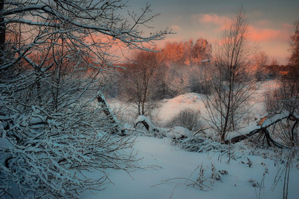 Photograph by Onyx X