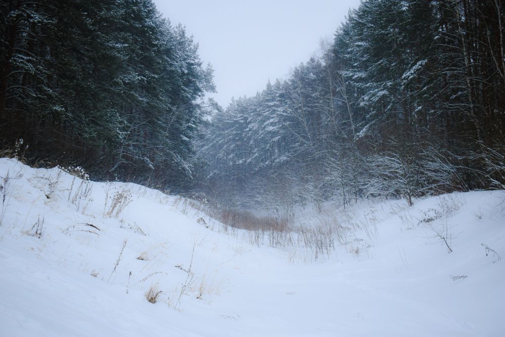 Photograph by Onyx X