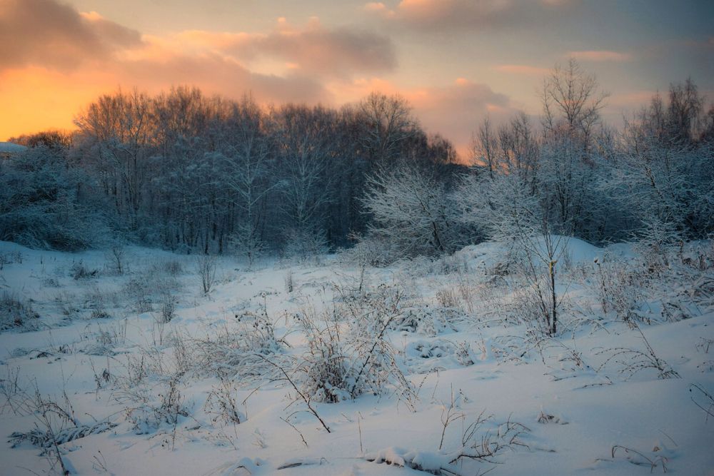 Photograph by Onyx X