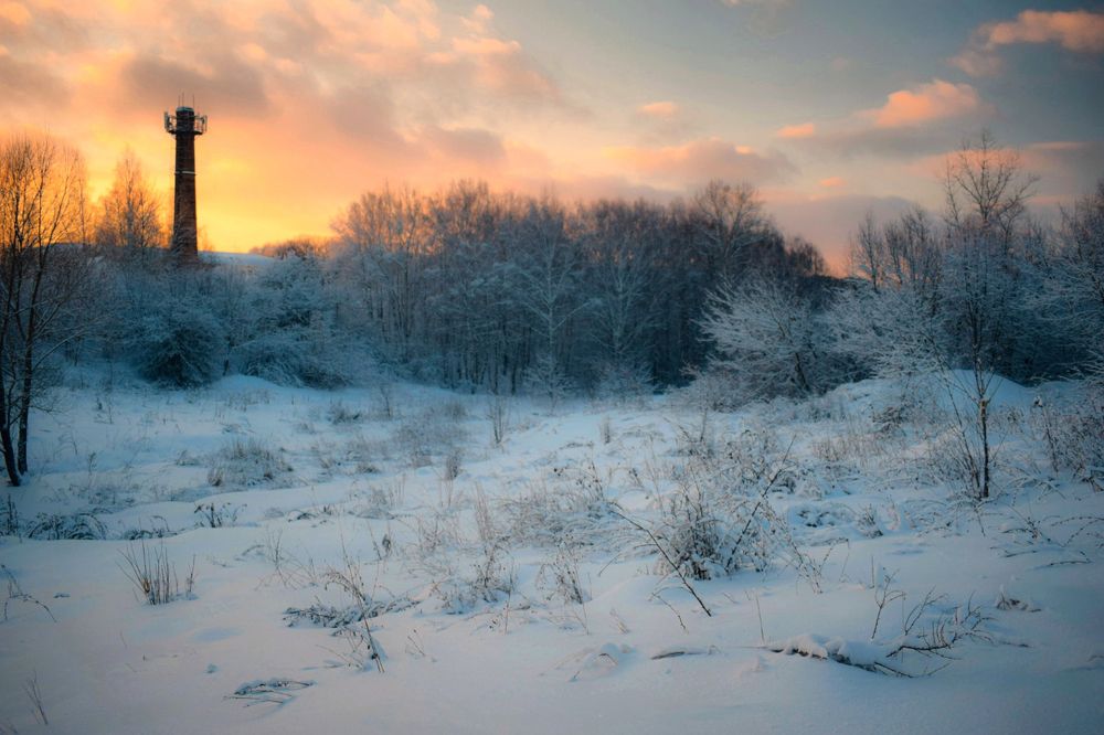 Photograph by Onyx X