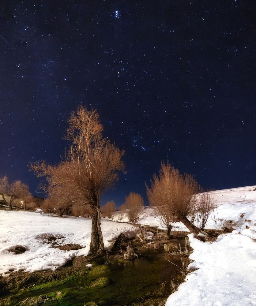 Photograph by Hamid espanani