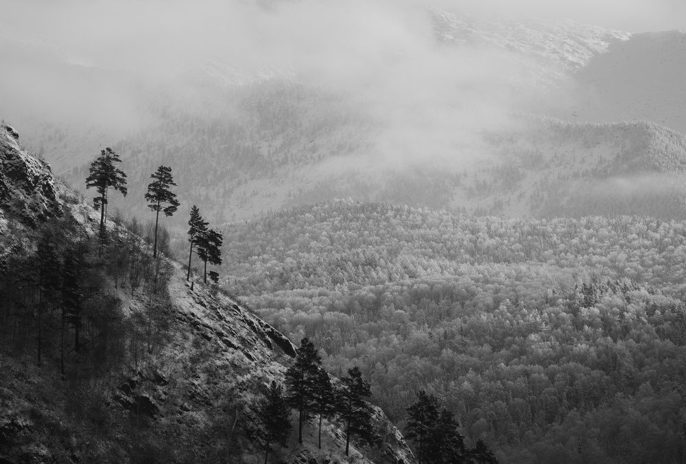 Photograph by Юля Чернецкая