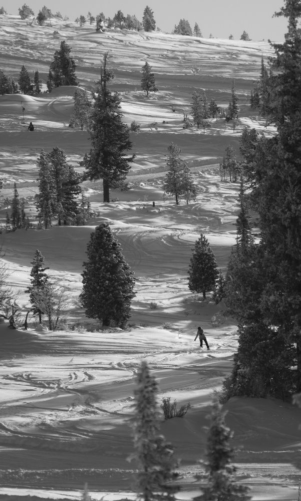 Photograph by Юля Чернецкая