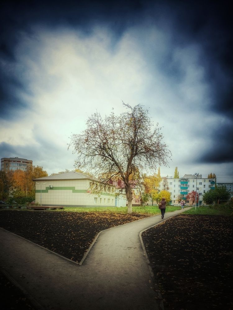 Photograph by Олега Тор