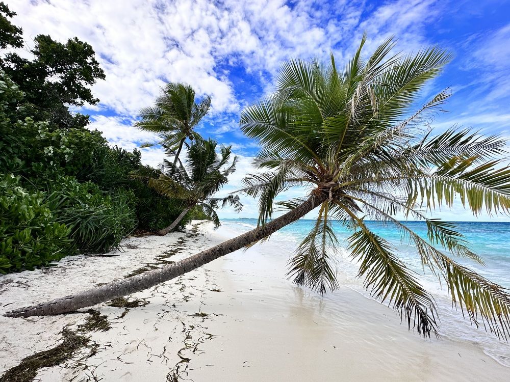 Photograph by Меруерт