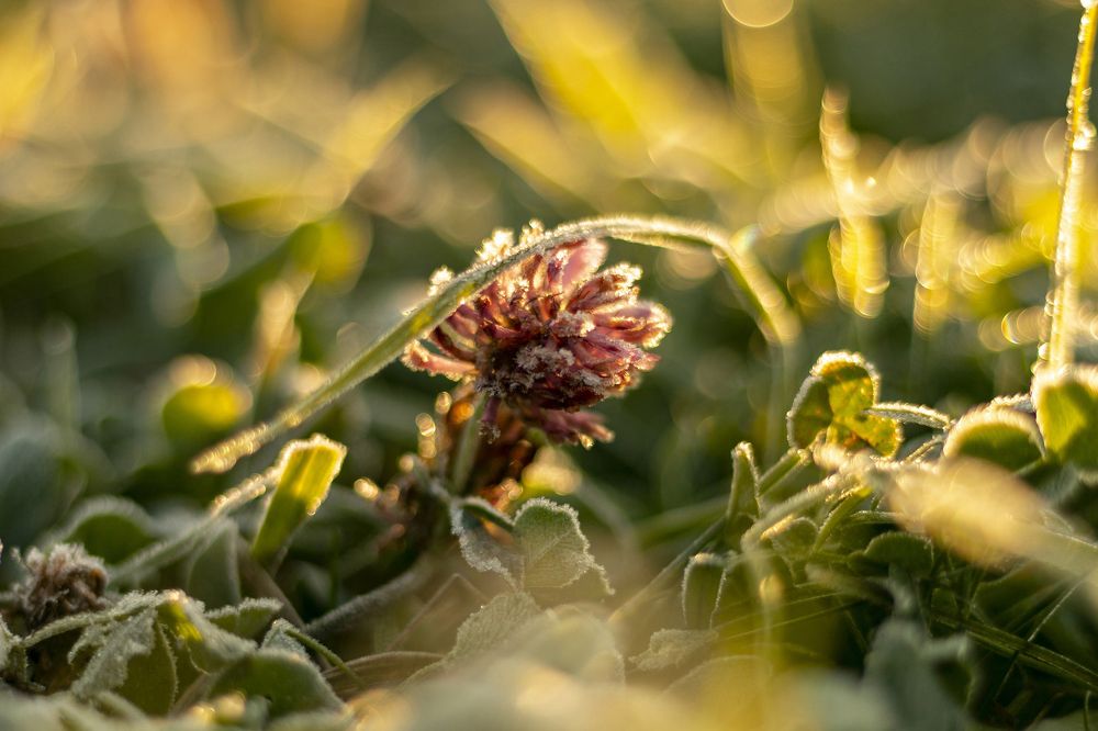 Фотография автора кузовлева мария анатольевна