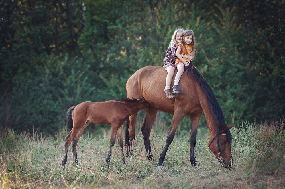 Photograph by Деева Елена