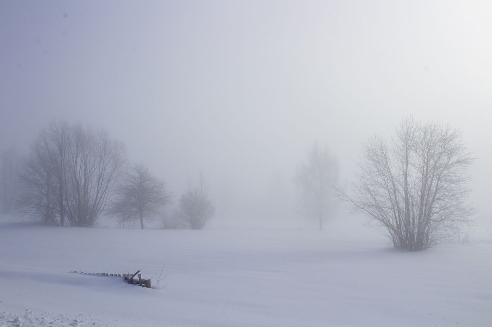 Photograph by Оксана Леонтьева