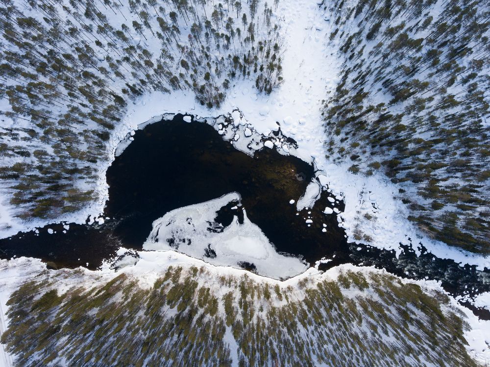 Фотография автора Андрей Пожарский