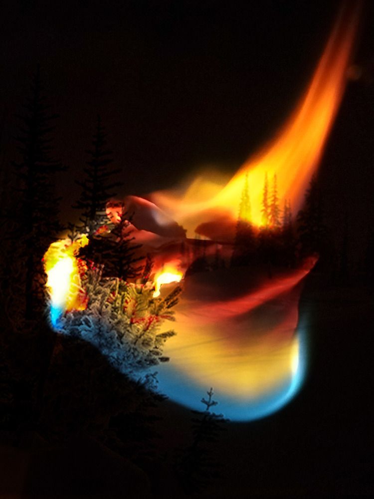 Фотография автора Bernadette Pretorius