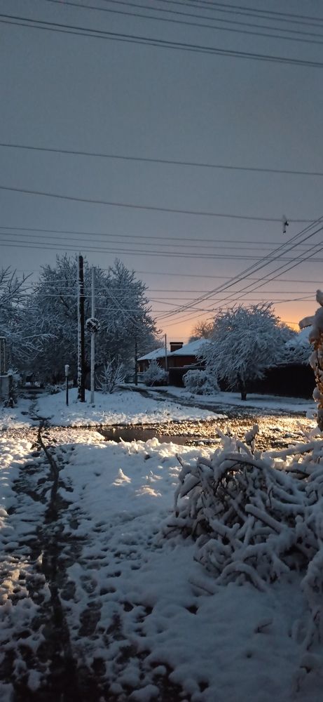 Photograph by Виорика Фоменко