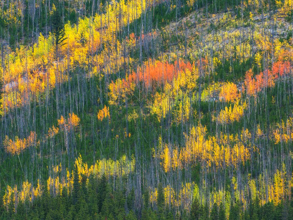 Photograph by Han Jinyi