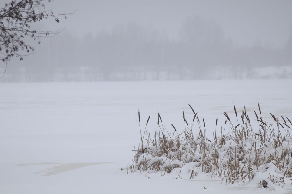 Photograph by Елена Квасова