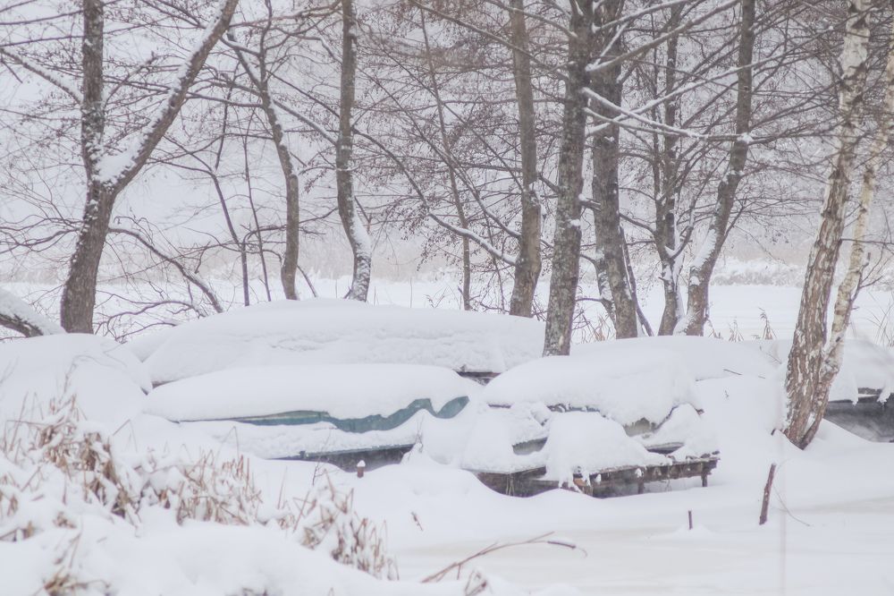 Photograph by Елена Квасова