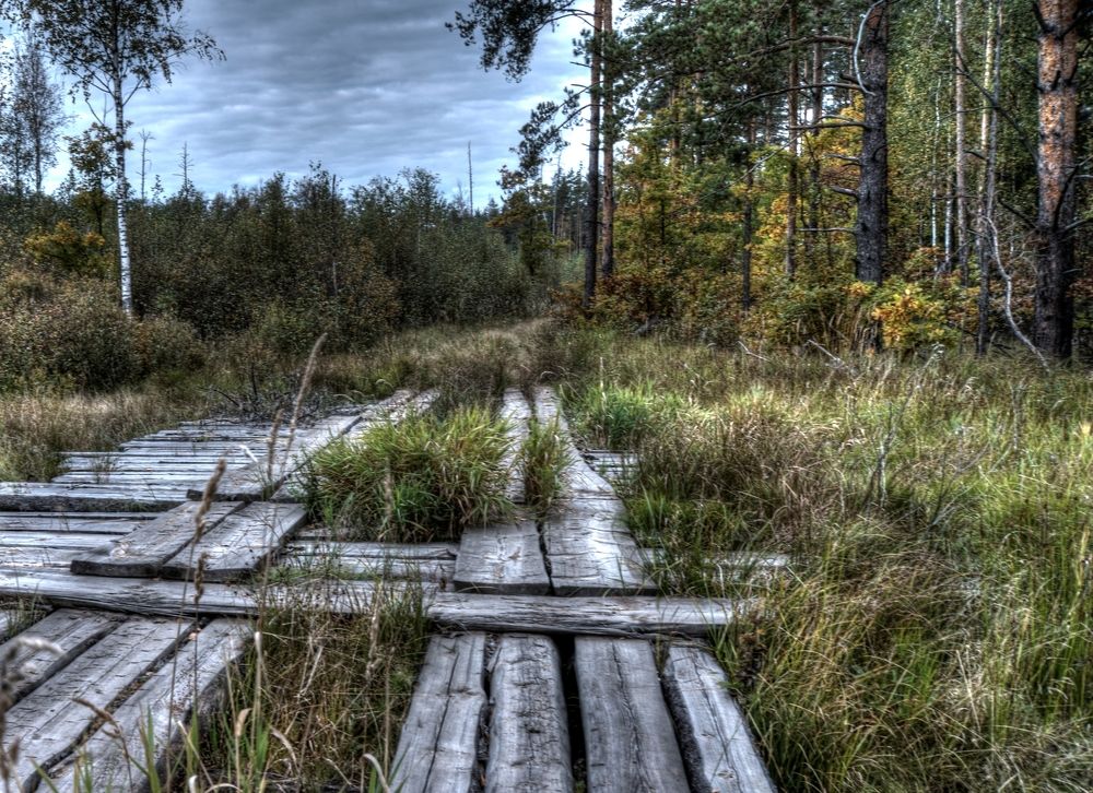 Photograph by Екатерина