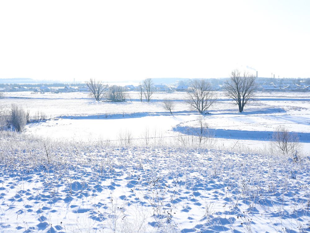 Photograph by Марина Григорьева