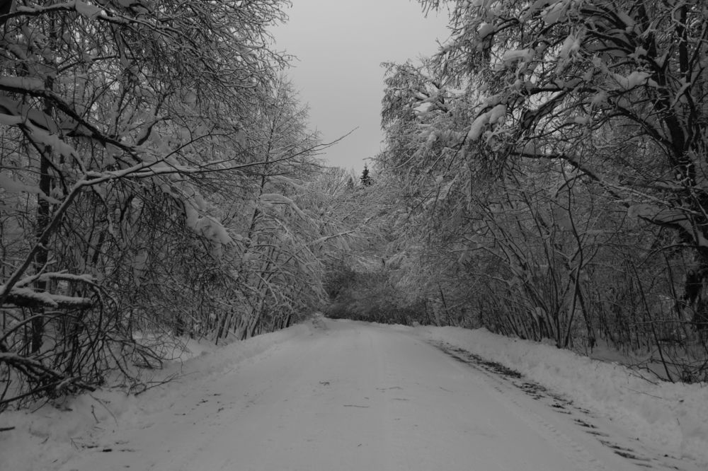 Photograph by Иван Скрипкин