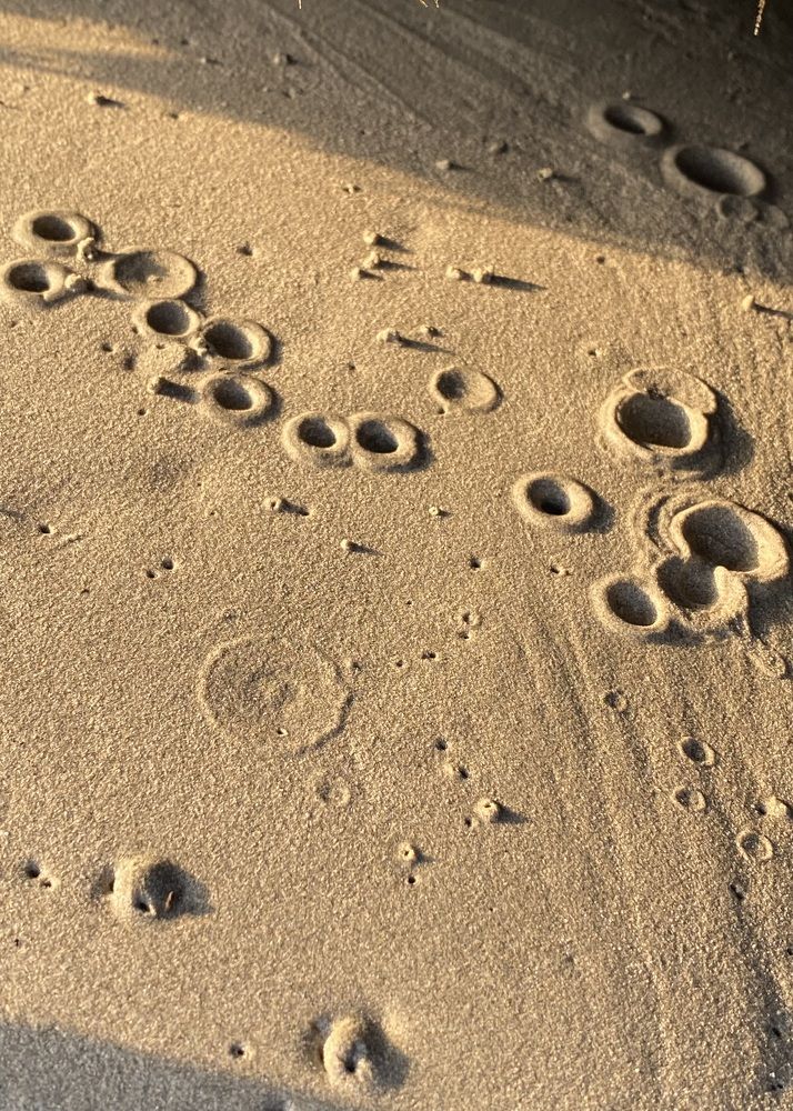 Фотография автора ГУЗАЛИЯ ГАНИЕВА