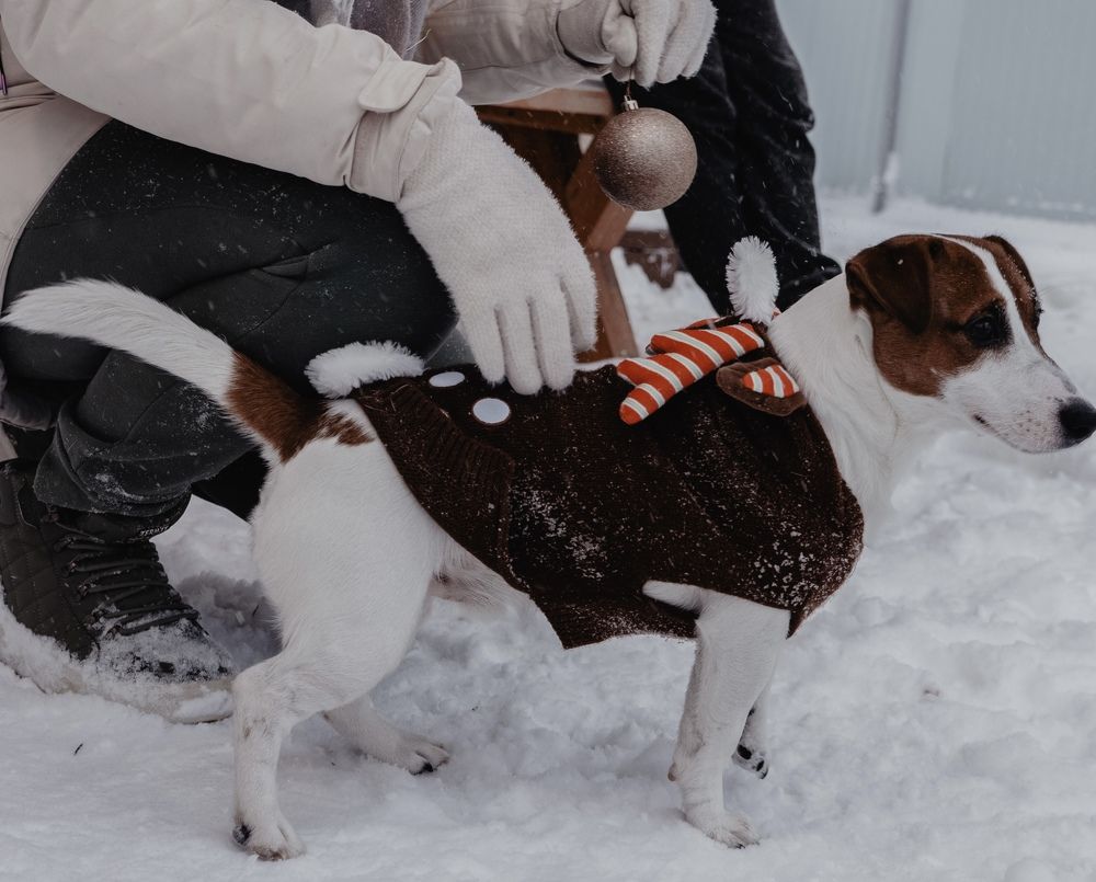 Photograph by Фролкина Рената