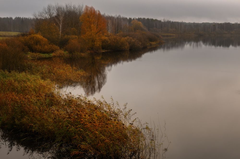 Фотография автора Павел Тимошенко