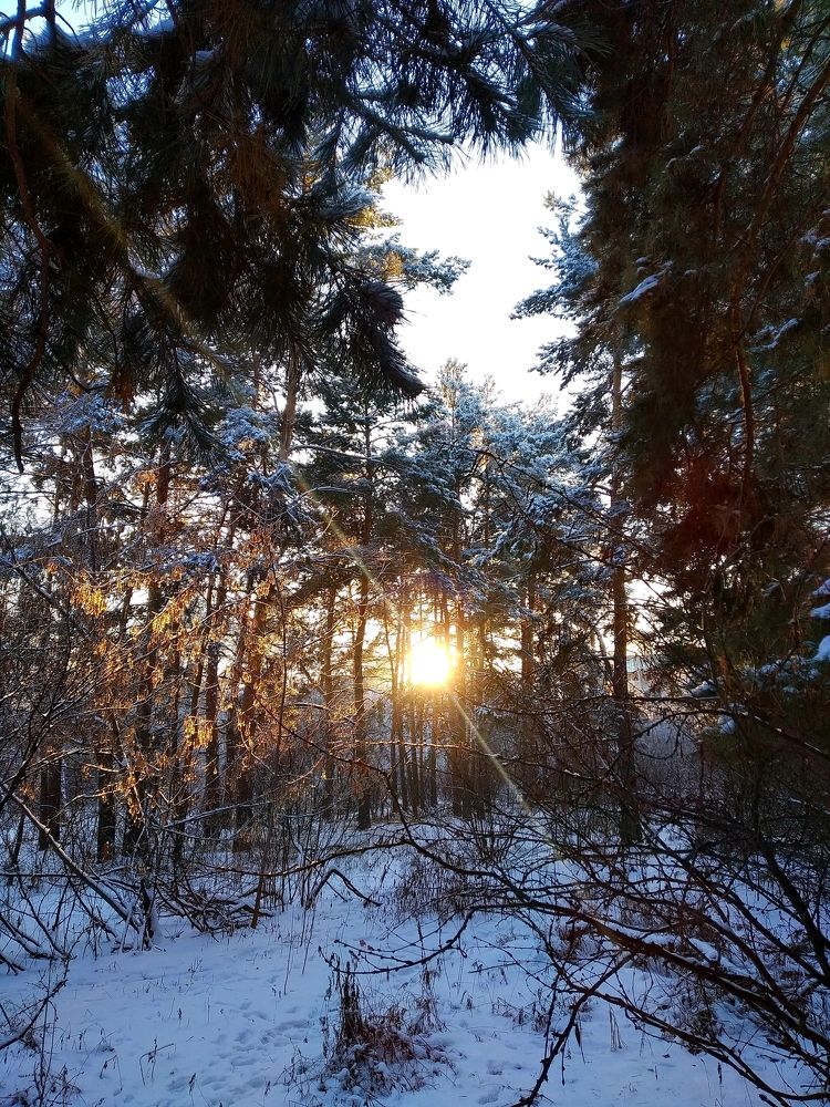 Photograph by Olga Александрова