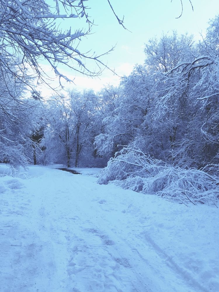 Photograph by Olga Александрова