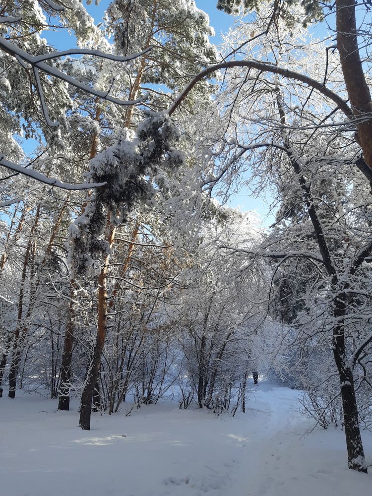 Photograph by Olga Александрова