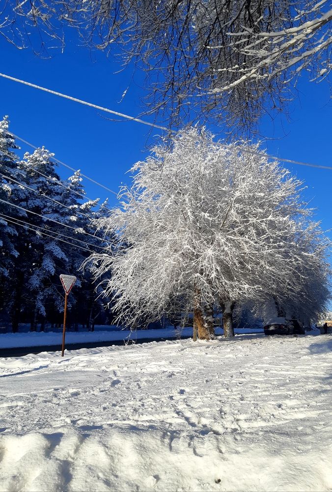 Photograph by Olga Александрова